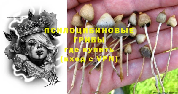 молекула духа Карталы