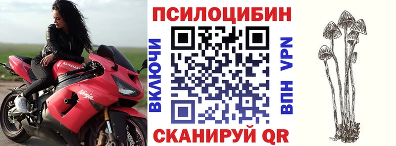 Купить закладки Озёрск Галлюциногенные грибы мухоморы